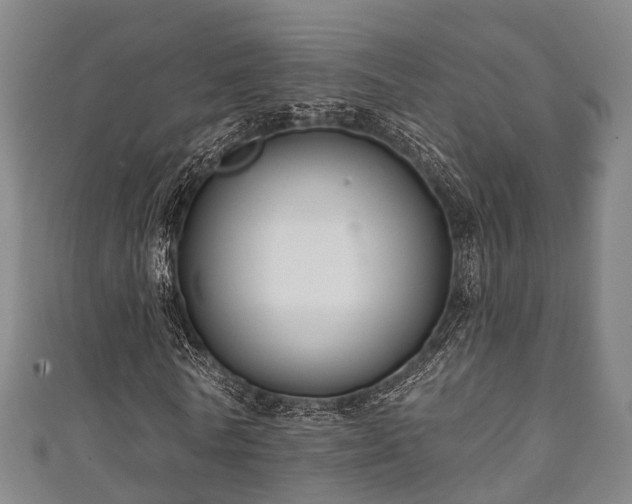 X0000111590770200907231214