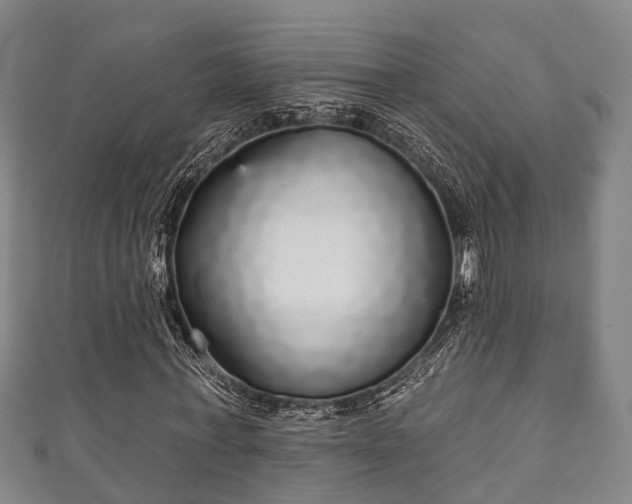 X0000111590771200907231214