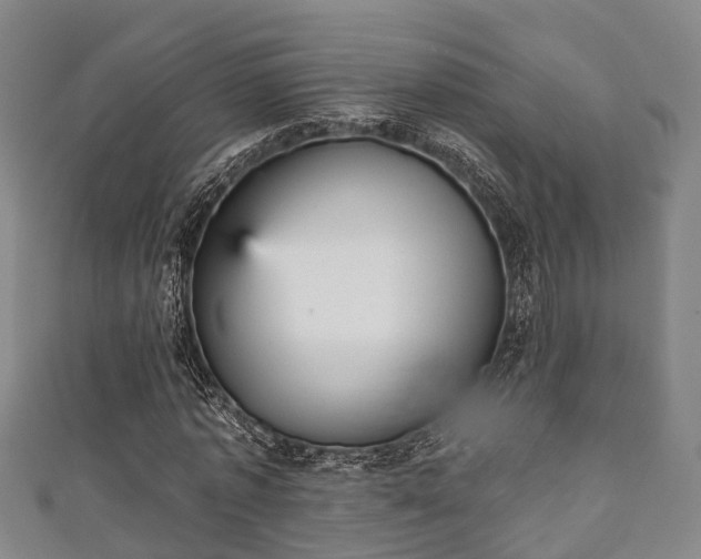 X0000111590773200907231214