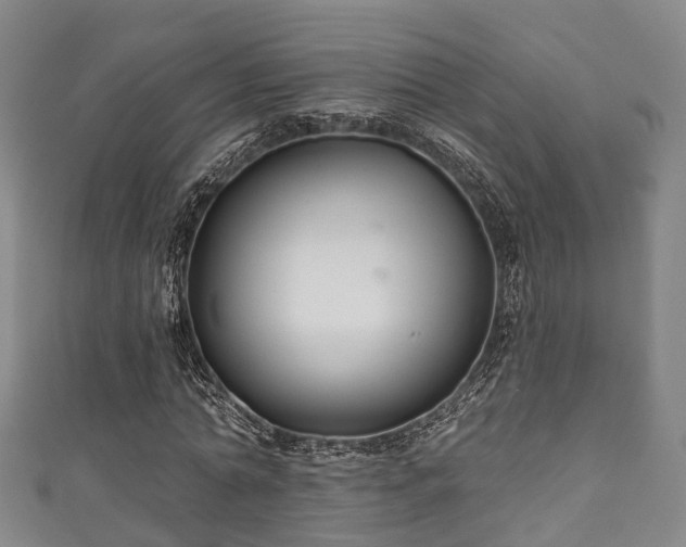 X0000111590774200907231214