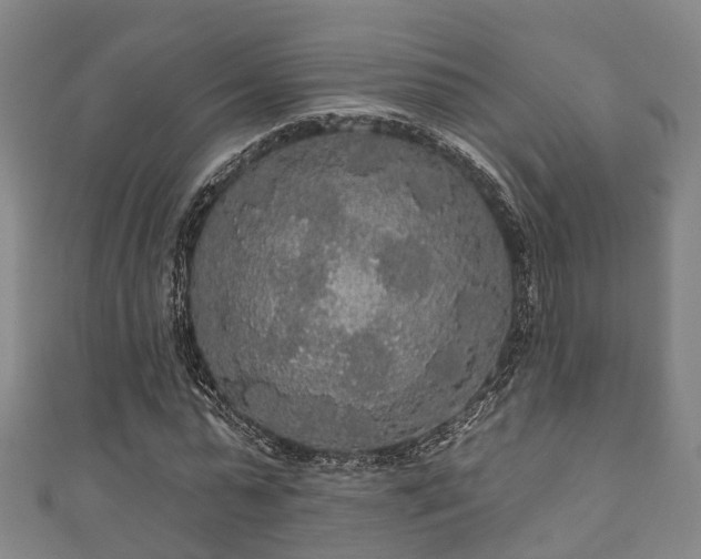 X0000111590775200907231214