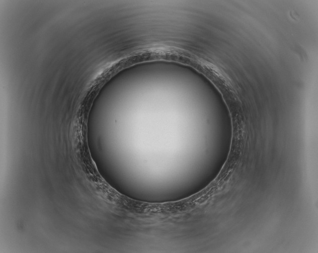 X0000111590776200907231214