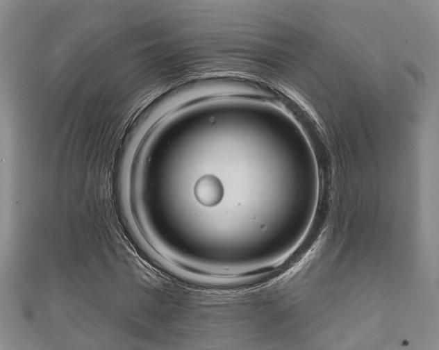 X0000111590777200907231214