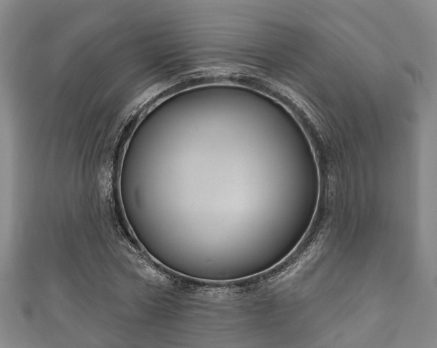 X0000111590778200907231214