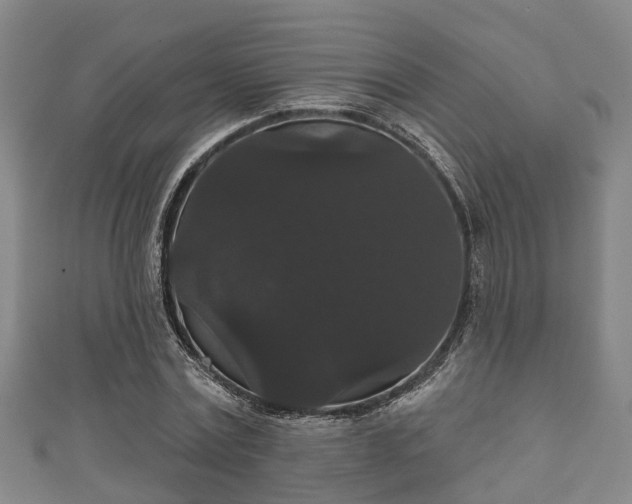 X0000111590779200907231214