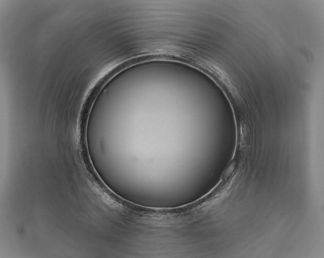 X0000111590780200907231214