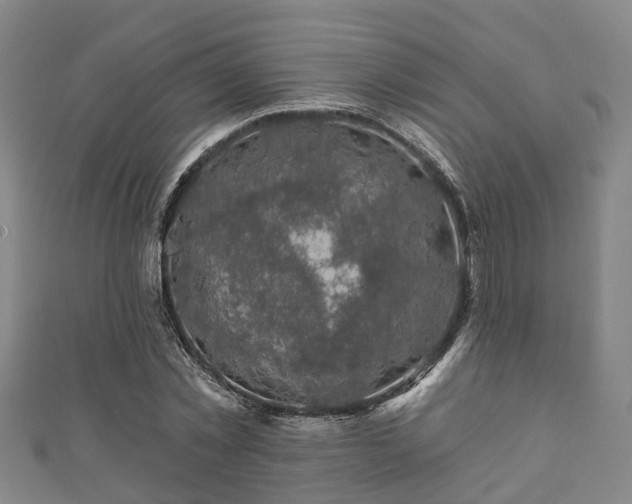 X0000111590781200907231214