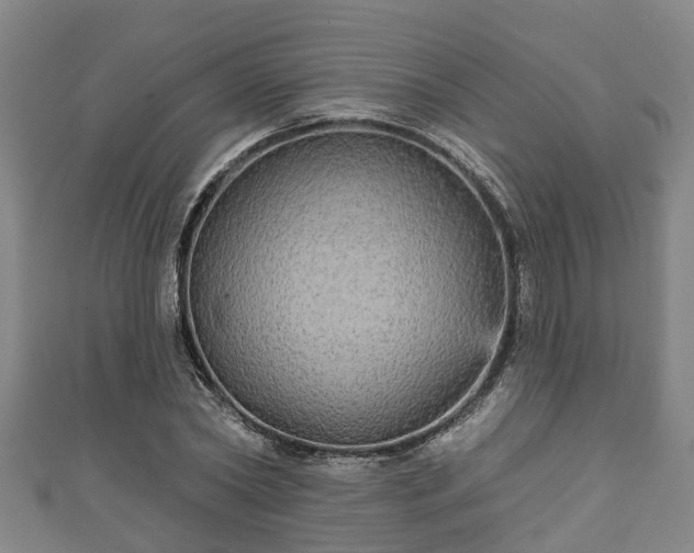 X0000111590782200907231214