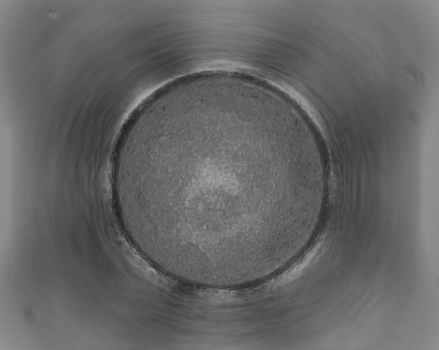 X0000111590783200907231214