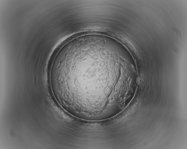 X0000111590784200907231214