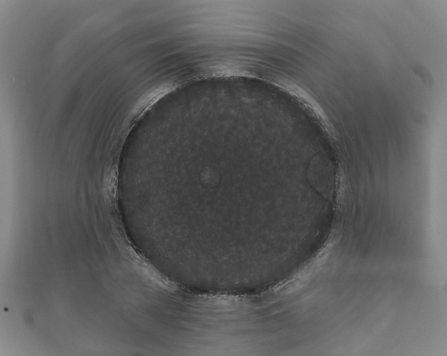 X0000111590785200907231214