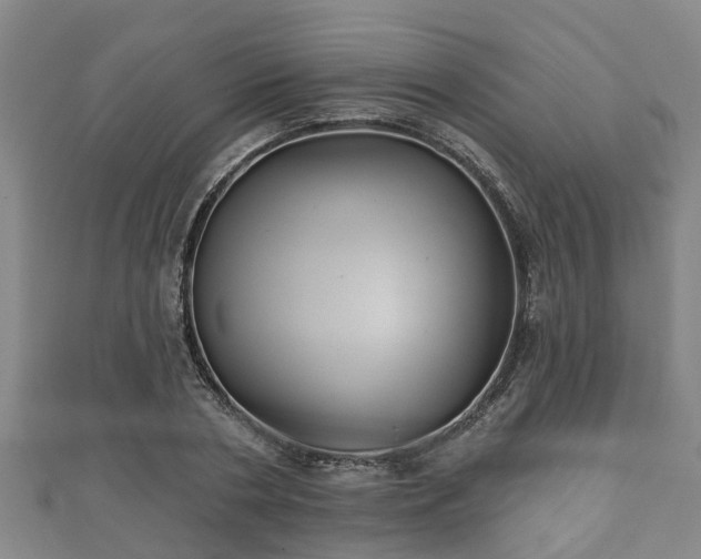 X0000111590786200907231214