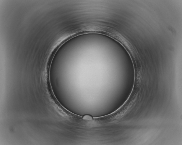 X0000111590787200907231213