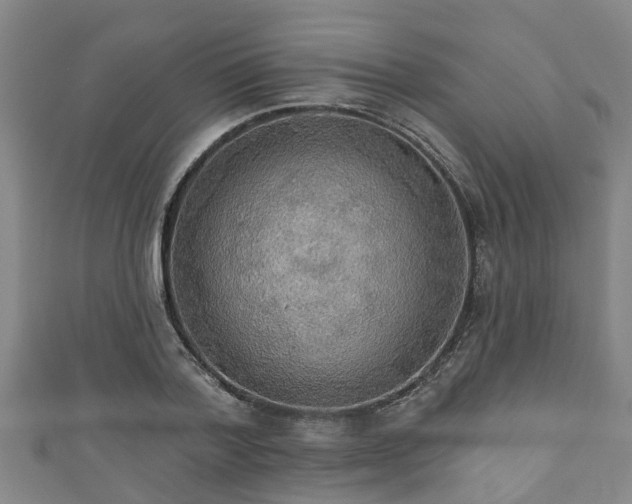 X0000111590788200907231213