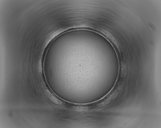 X0000111590789200907231213