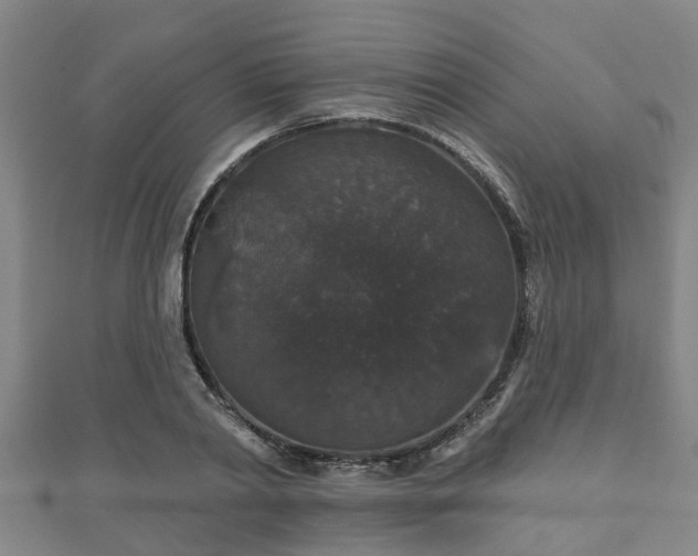 X0000111590790200907231213