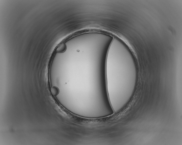 X0000111590791200907231213