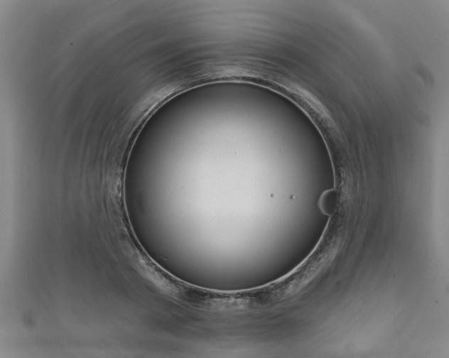 X0000111590793200907231213