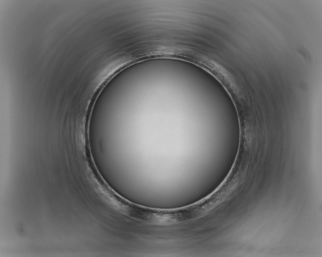 X0000111590794200907231213