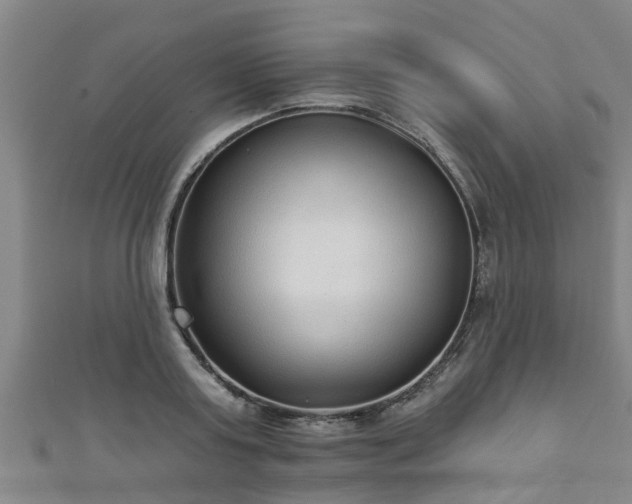 X0000111590795200907231213