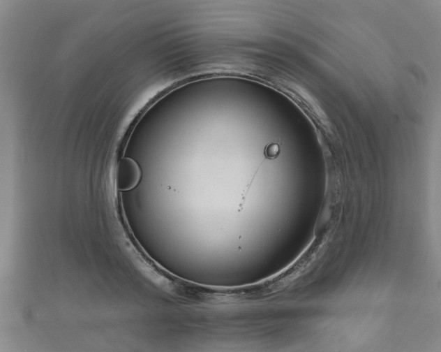 X0000111590796200907231213