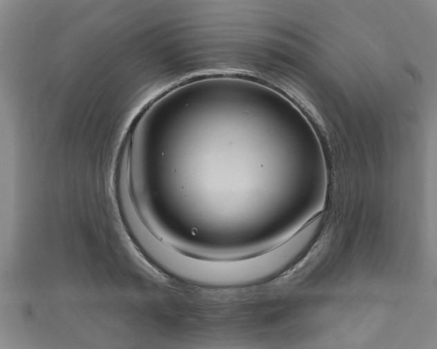 X0000111590797200907231213