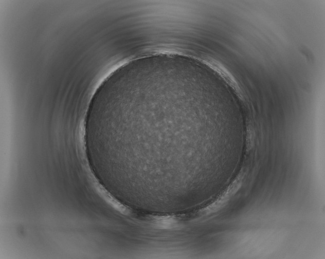 X0000111590798200907231213