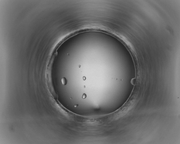 X0000111590799200907231213