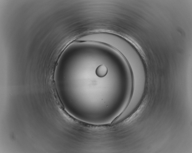 X0000111590801200907231213