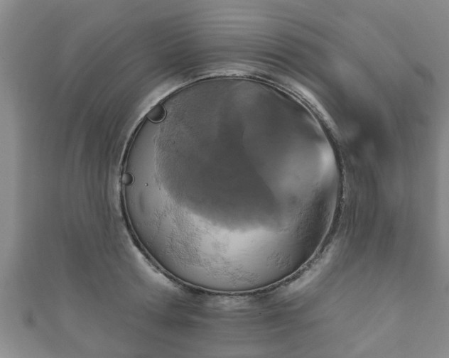 X0000111590802200907231213