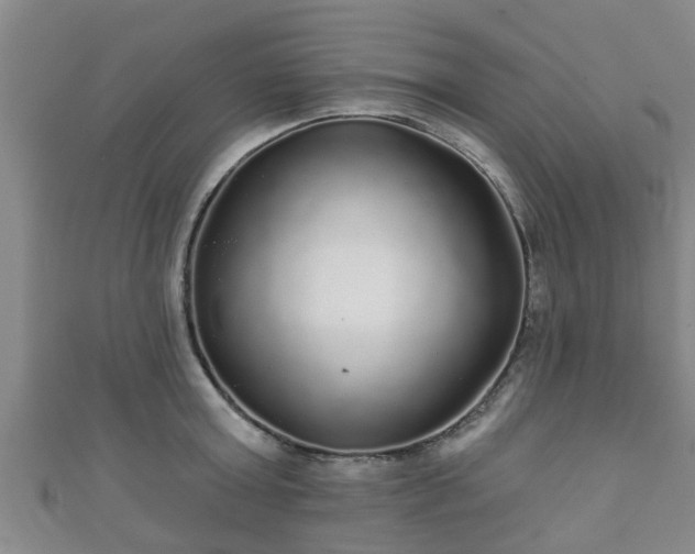 X0000111590803200907231213