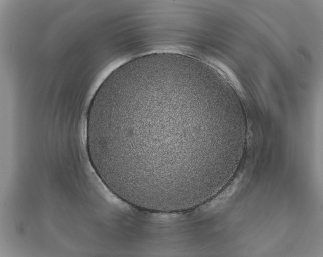 X0000111590804200907231213