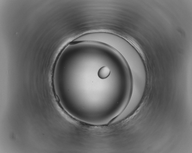 X0000111590805200907231213