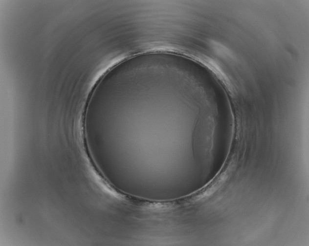 X0000111590806200907231213