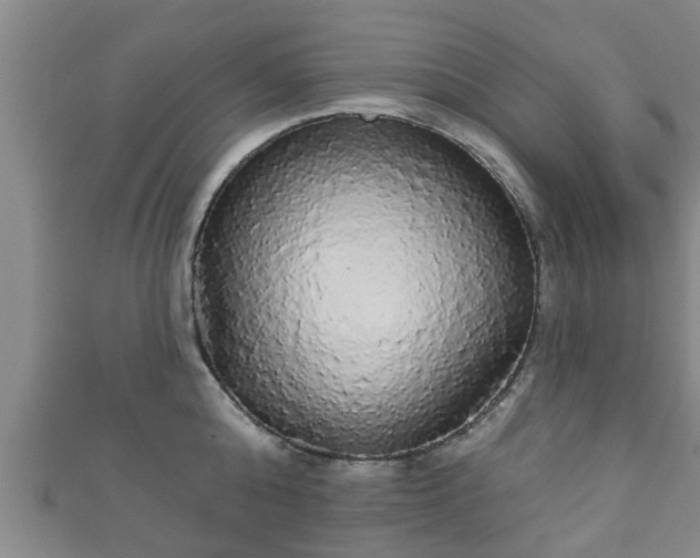 X0000111590808200907231213