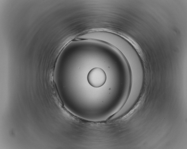 X0000111590809200907231213