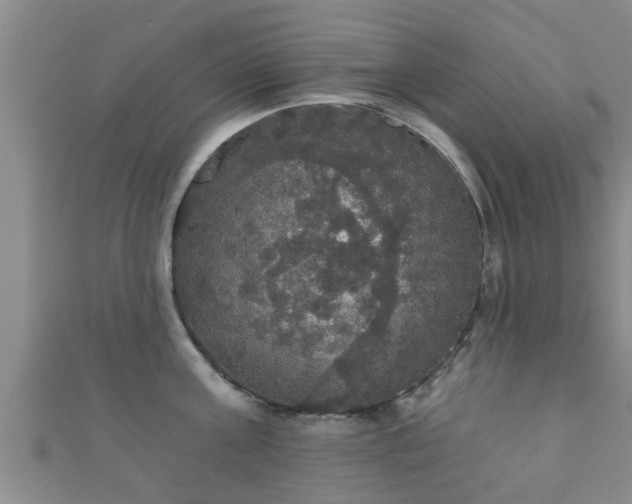 X0000111590811200907231213