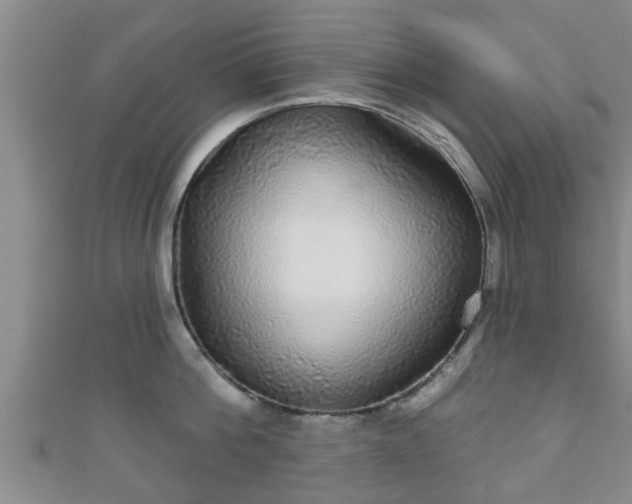 X0000111590812200907231213