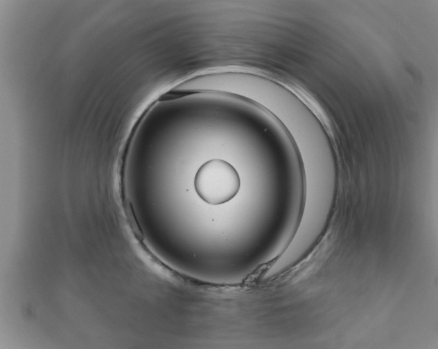 X0000111590813200907231213