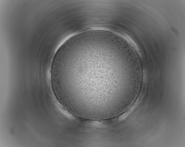 X0000111590814200907231213