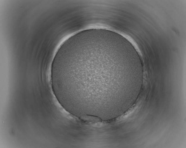 X0000111590815200907231213