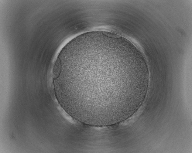 X0000111590816200907231213