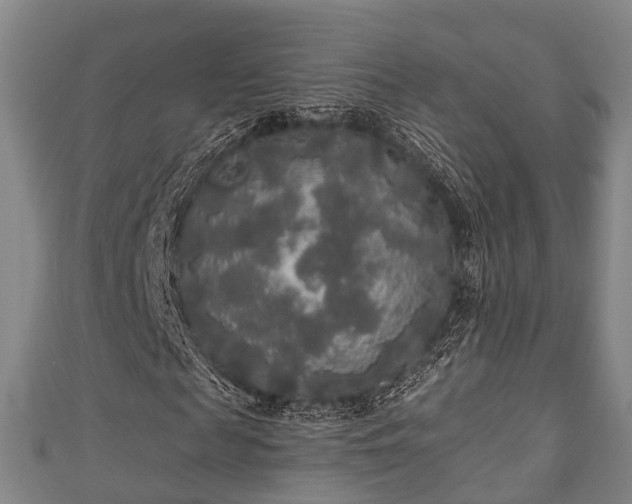 X0000111590817200907231212