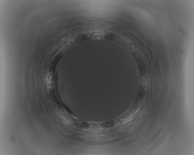 X0000111590818200907231212