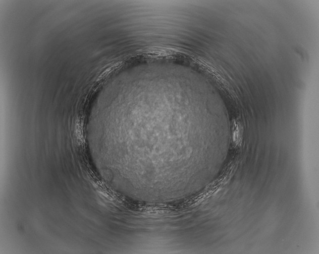 X0000111590819200907231212