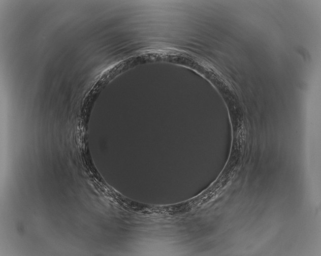 X0000111590822200907231212