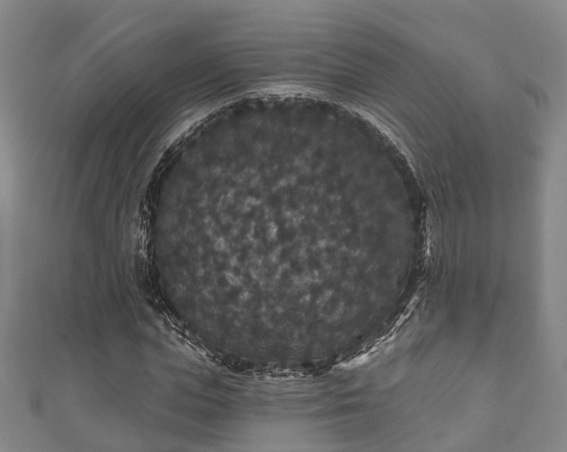 X0000111590823200907231212