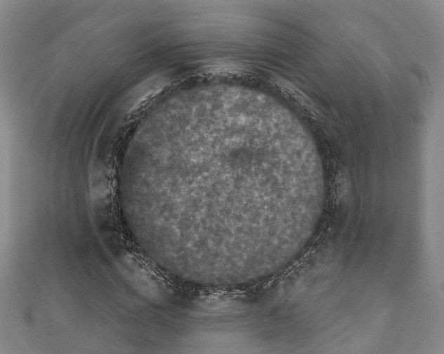 X0000111590824200907231213