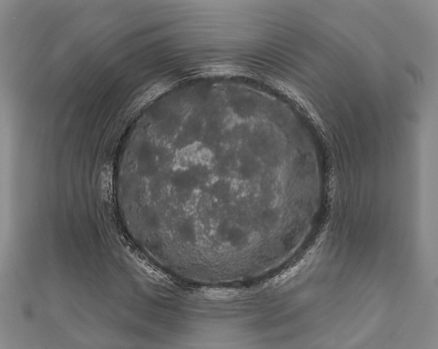 X0000111590825200907231213