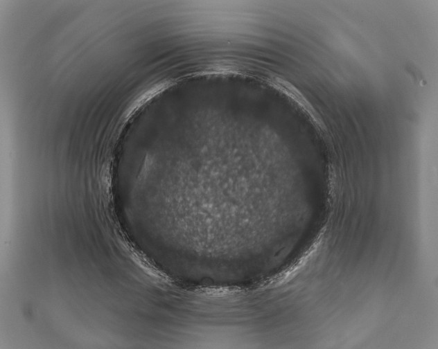 X0000111590826200907231213